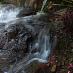 Portfolio img 0123