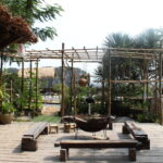 Portfolio img 0343