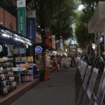 Portfolio img 9509