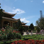 Portfolio img 9901
